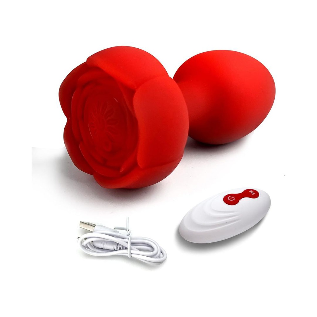 PLUG VIBRADOR CON CONTROL
