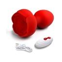 PLUG VIBRADOR CON CONTROL