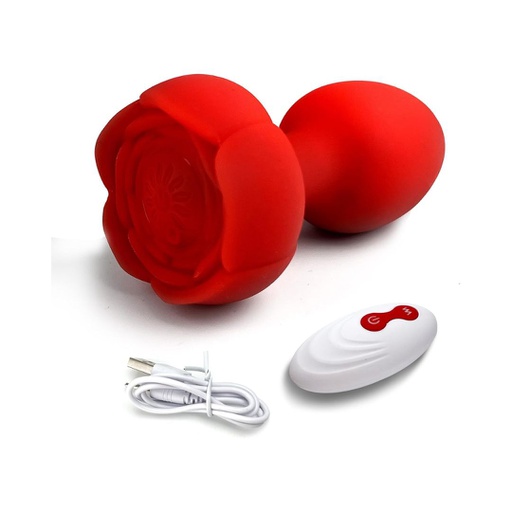 PLUG VIBRADOR CON CONTROL